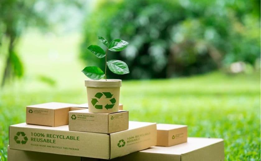 Sustainable Packaging for Viksit Bharat: The Vision of Chief Procurement Officers